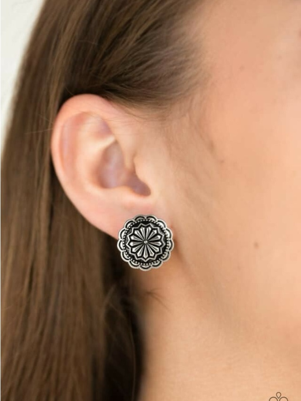 Paparazzi • “Durango Desert” Earrings